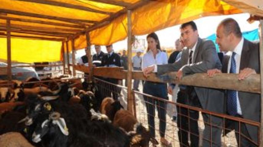 Osmangazi'de 5 Noktada Kurban Pazarı Kuruldu