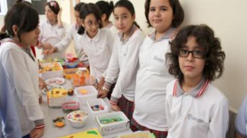 Kızılırmak&rsquo;ta H&uuml;cre Modelli Sergi A&ccedil;ıldı