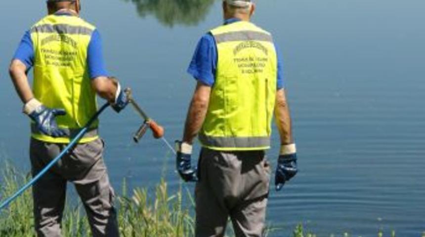 Kırıkkale&rsquo;de Haşerelere Karşı M&uuml;cadele Devam Ediliyor