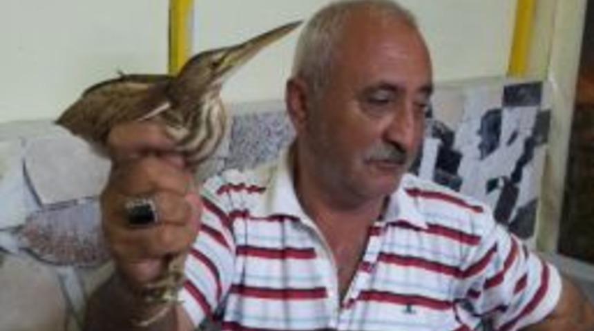 Yolunu Kaybeden Hintli Kuşa B&uuml;feci Sahip &Ccedil;ıkıyor