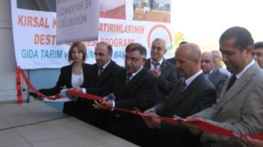 D&uuml;zce&rsquo;de Bakanlık Destekli S&uuml;t İşleme Tesisi A&ccedil;ıldı