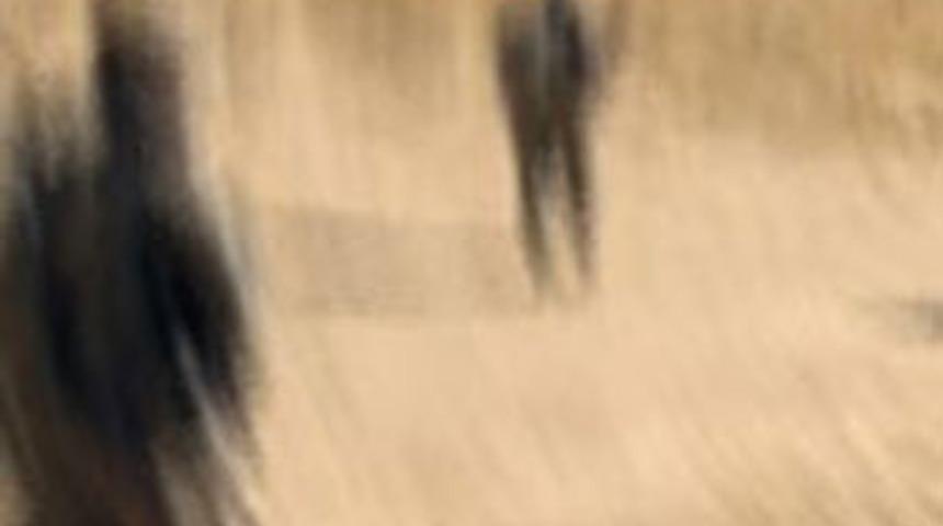 İncirlik'te &ccedil;ocuk pornosu skandalı