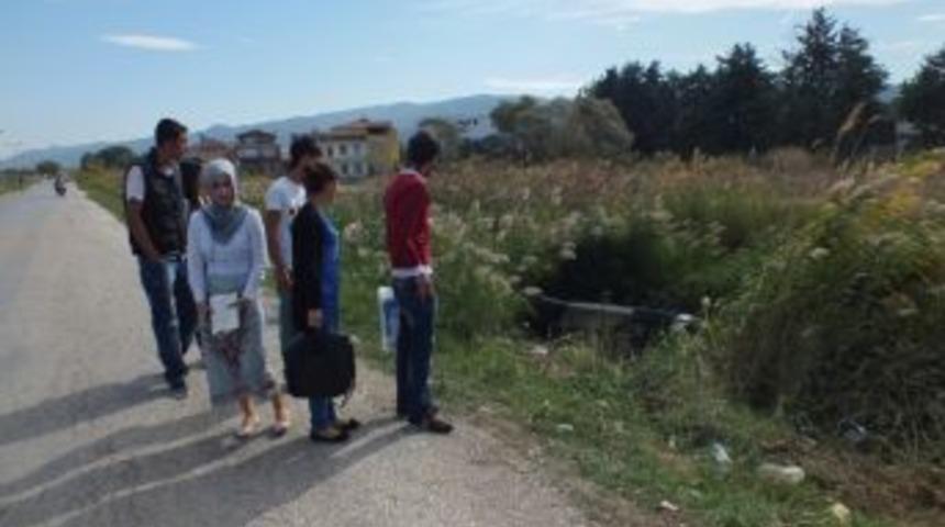 Sazlıklar Hayatlarını Kurtardı