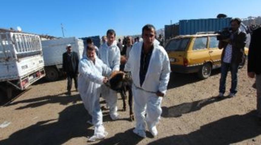 Erzurum B&uuml;y&uuml;kşehir Belediyesi&rsquo;nin Kurban Bayramı Hazırlıklarına &Ouml;zel Eğitimli &lsquo;kurban Timi&rsquo; De Eklendi