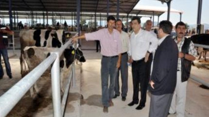 G&ouml;nen'de Hayvan Pazarı Hizmete Girdi