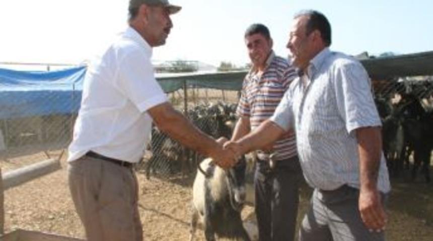 Kurban Satıcılar Kurbanlık Satışlarında Son G&uuml;n Bekleniyor