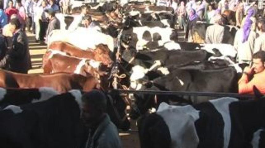 Esad'ın f&uuml;zesi kurbanlıkları vurdu