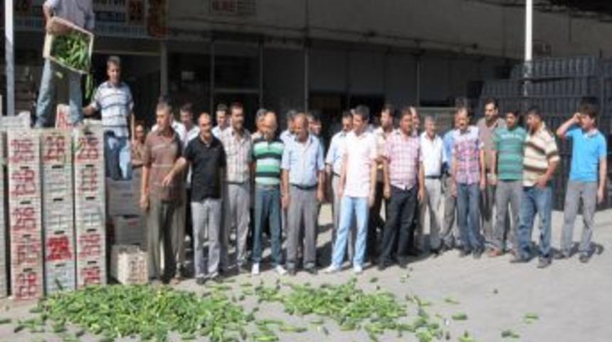 &Ccedil;ift&ccedil;iler Zarar Ettikleri Gerek&ccedil;esiyle Tonlarca Salatalığı &Ccedil;&ouml;pe D&ouml;kt&uuml;