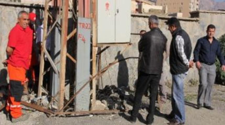 Hakkari'de Yılan Dehşeti