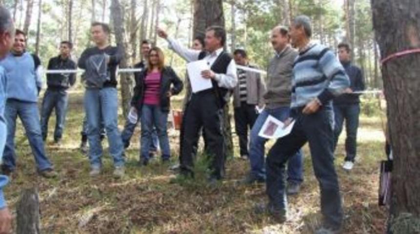 Akdağmadeni Ormanlarının Amenajman Belirleme &Ccedil;alışmaları S&uuml;r&uuml;yor