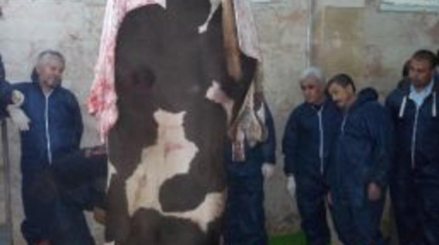 Kırıkkale&rsquo;de Kasap Adaylarına Kurban Kesimi Kursu Verildi