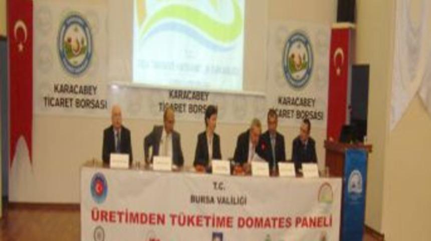 &Uuml;retimden T&uuml;ketime Domates Panelde Ele Alındı