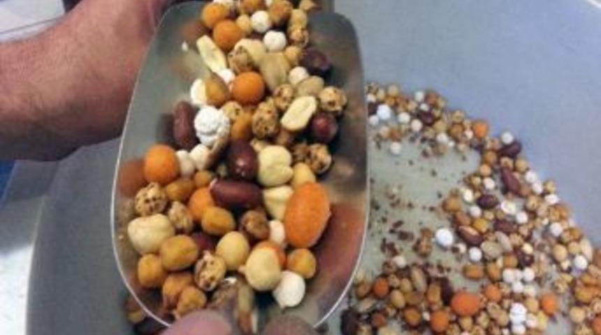 D&uuml;ğ&uuml;n Kuruyemişleri Kutuya Girdi