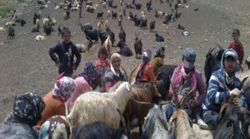 Yayla Sakinlerinin Geri D&ouml;n&uuml;ş&uuml; Başladı