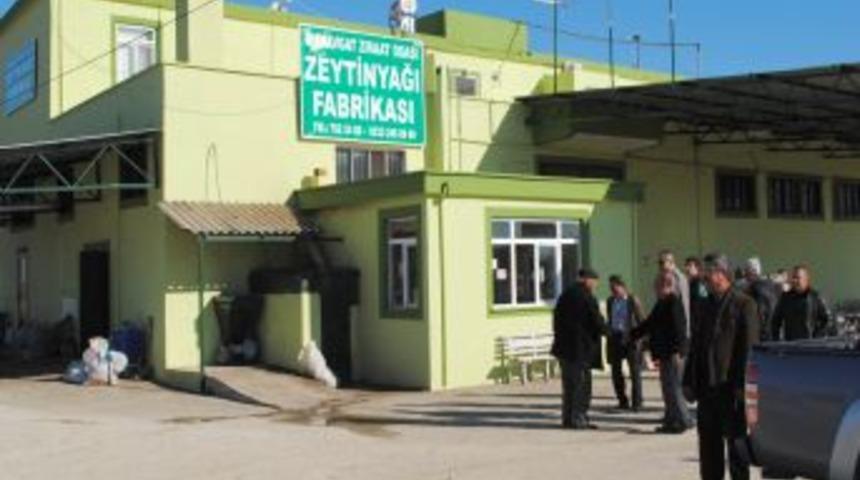 MZO'nun Zeytinyağı Fabrikası Kapasitesini 5 Kat Arttırdı