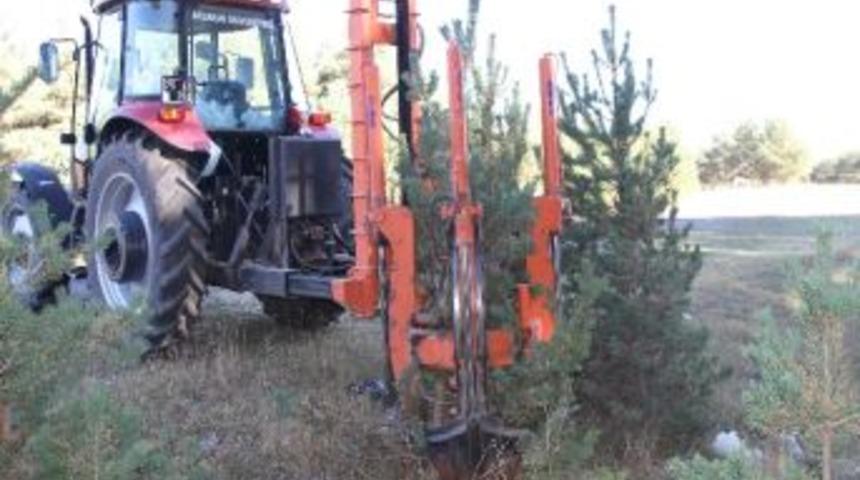 &Ccedil;ıldır&rsquo;da Yol Kenarındaki Ağa&ccedil;lar S&ouml;k&uuml;l&uuml;yor