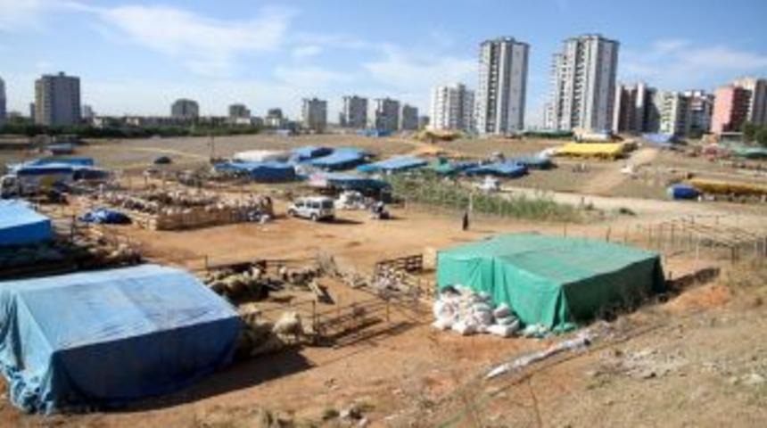 kurban satış ve kesim yerleri belirlendi