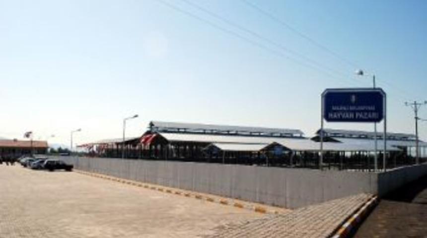 Salihli'de Hayvan Pazarına Dolmuş Seferi