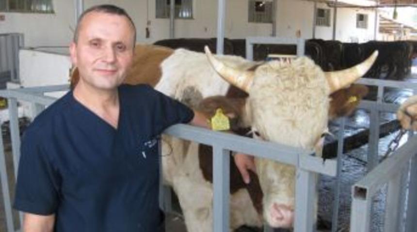 Yıldız: Kurbanlıklarda Ila&ccedil; Kalıntı S&uuml;resine Dikkat Edin