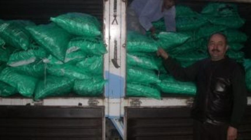 Kara Elmas Sezonu 500 Tl&rsquo;den A&ccedil;tı