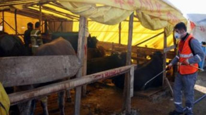 Kurban Satış Ve Kesim Yerleri İla&ccedil;lanıyor