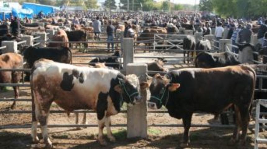 Kurbanlıklar Pazara Indi, Denetimler Artırıldı