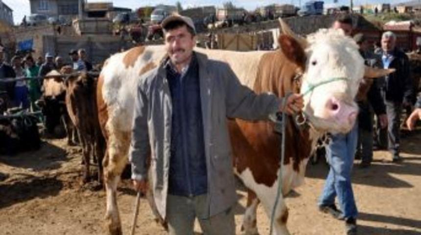 Bir Tonluk &lsquo;tombak&rsquo; Alıcı Bekliyor