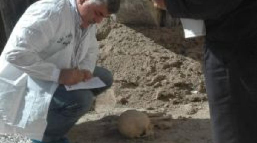 Kanalizasyon &Ccedil;alışmasından Kafatası &Ccedil;ıktı