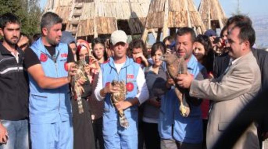 LİSİNİA&rsquo;da, Kuşlar D&uuml;nya Barışı I&ccedil;in Doğaya Bırakıldı