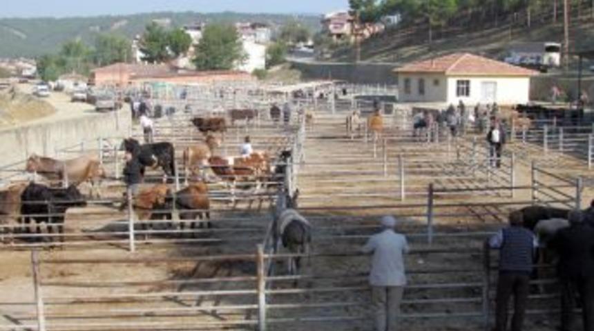 Boyabat Panayırı Başladı