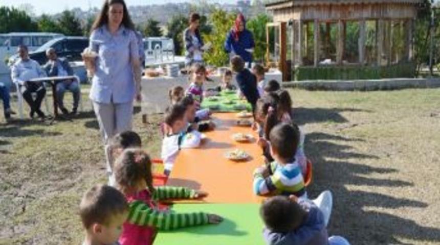 &Ouml;nce S&uuml;t Sağdılar Sonra Piknik Yaptılar