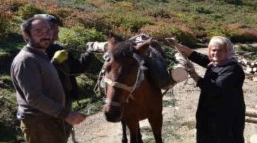 Eşi Ve Çocuklarıyla 60 Yıldır Ekmeğini Ormandan Kazanıyor