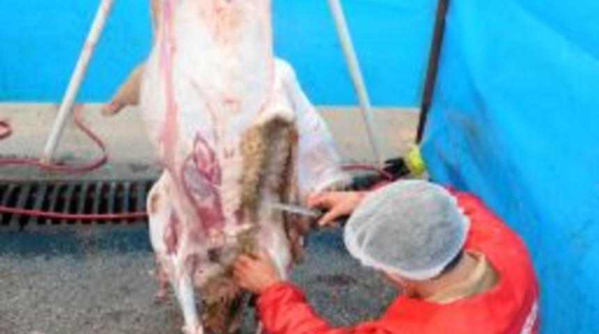 Balıkesir Belediyesi K&uuml;&ccedil;&uuml;kbaş Kurbanlıkları &Uuml;cretsiz Kesecek