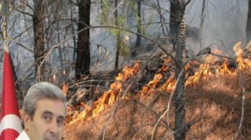 Ormanda Hummalı &Ccedil;alışma S&uuml;r&uuml;yor