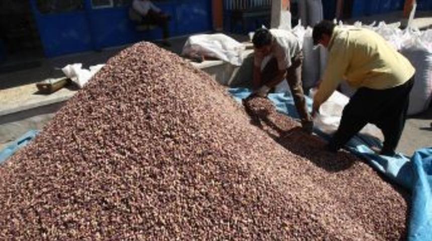 GTO&rsquo;dan Antep Fıstığına Tam Destek