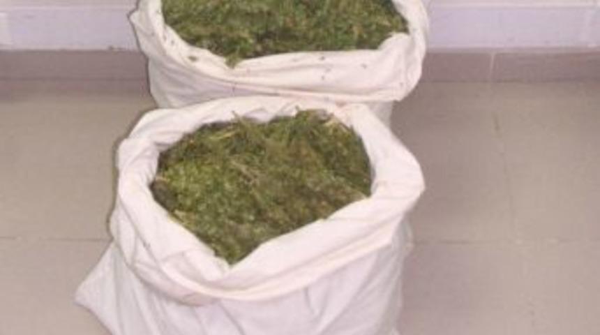 Nizip'te Uyuşturucu Operasyonu