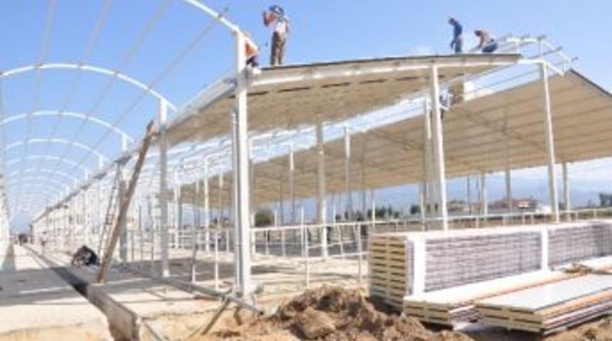 Nazilli Hayvan Pazarı Hizmete Girdi