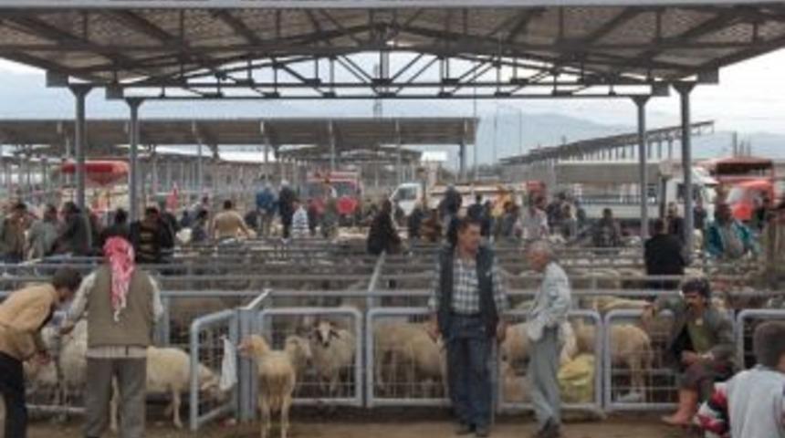 &Ouml;demiş Hayvan Pazarında Kurbanlık Satışı Başlıyor