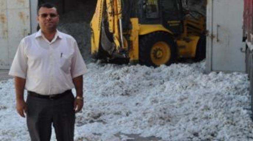 Pamuk Alım Fiyatı Arttı