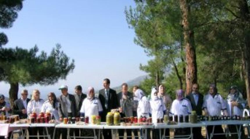 Niksar&rsquo;da Organik Gıda &Uuml;retimi Yaygınlaşıyor