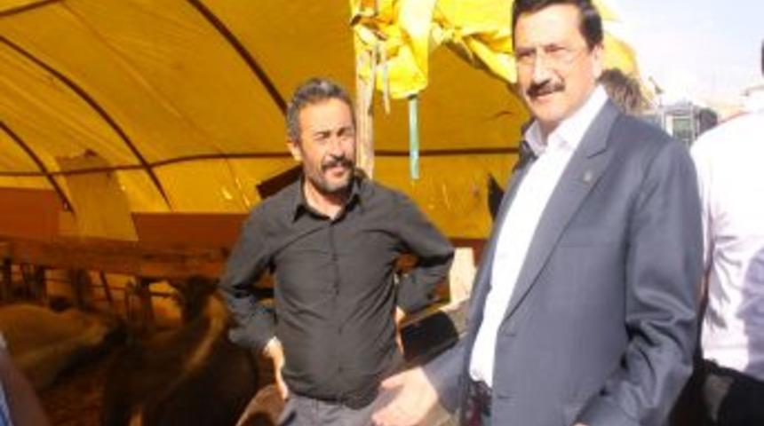 Belediye Başkanı Ak, Kurban Satış Noktalarında Incelemelerde Bulundu