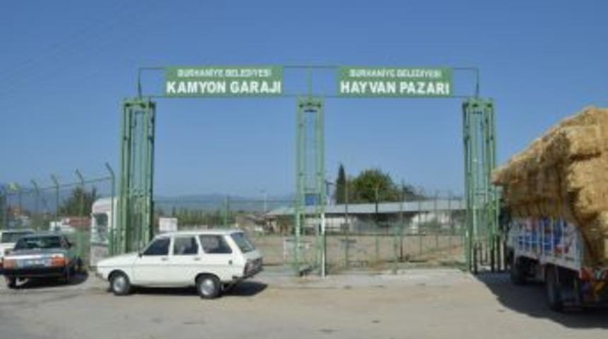 Burhaniye’de Çiftçi Hayvan Pazarı’na Kurbanlıkları Getiremedi