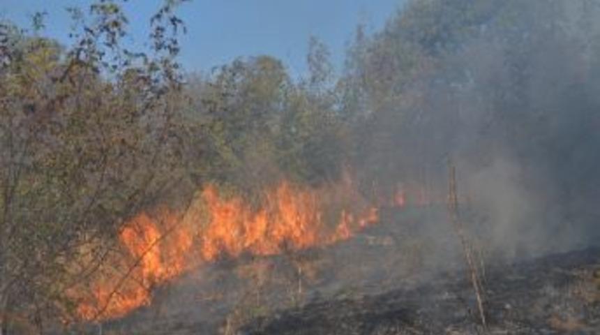 Anız Yangını Ormanlık Alana Sı&ccedil;radı