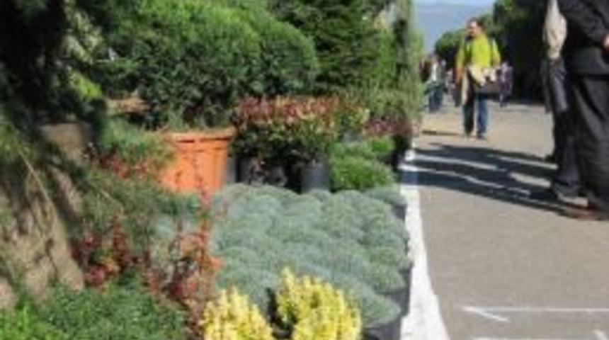 &Ouml;demişli S&uuml;t Bitkisi &Uuml;reticileri, Sergi A&ccedil;ılışına Bakan Bekliyor