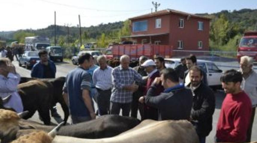 Kurbanlıklarda sahte para uyarısı