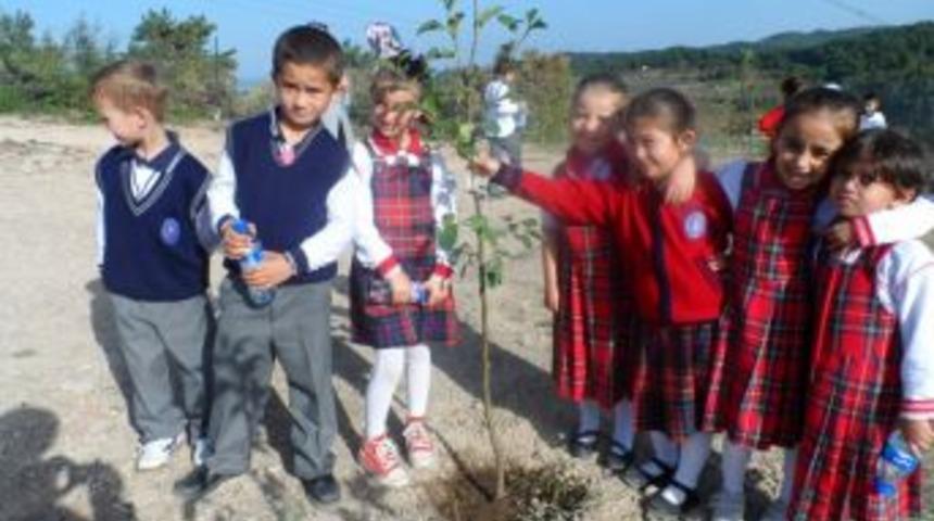 Minik &ouml;ğrenciler fidan dikti