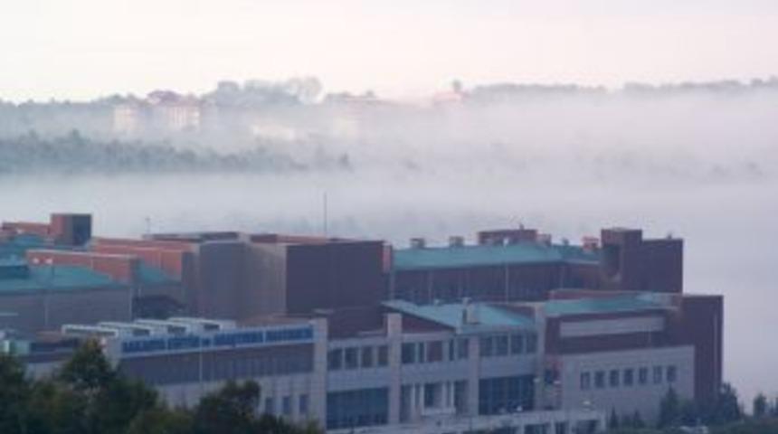 Sakarya'da Yoğun Sis