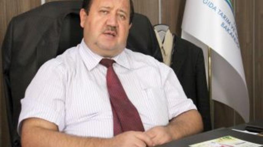 Kurbanda Yerli Damızlık Sıkıntısı Yok, Fiyatlar Ge&ccedil;en Sene Ile Aynı