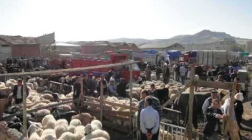 Sungurlu Hayvan Pazarında Kurban Bayramı Mesaisi