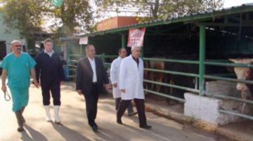 Tarım İl M&uuml;d&uuml;r&uuml; &Ccedil;elik, Kurban Pazarlarını Denetledi